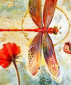 Pink Dragonfly Insect Paint By Numbers