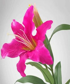 Pink Lily Floral Art Paint By Numbers