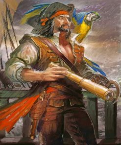 Macaw Pirate Adventure Paint By Numbers