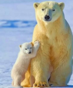 Polar Bear Wildlife Paint By Numbers