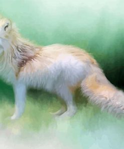 Arctic Fox Paint By Numbers