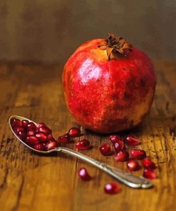 Pomegranate Fruits Paint By Numbers