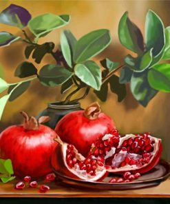 Pomegranate Paint By Numbers Kit
