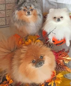 Pomeranian Puppies Paint By Numbers