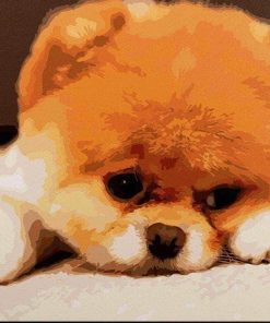Paint Your Own Pomeranian Masterpiece Paint By Numbers