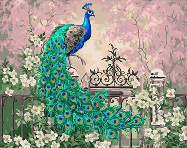 Peacock Blooms Paint By Numbers