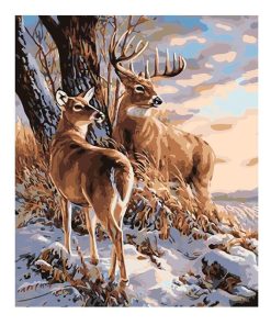 Buck and Doe Deer Paint By Numbers