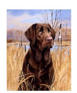 Dog in the Grass Paint By Numbers