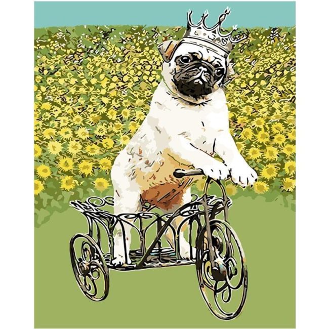 Dog Tricycle Fun Paint By Numbers