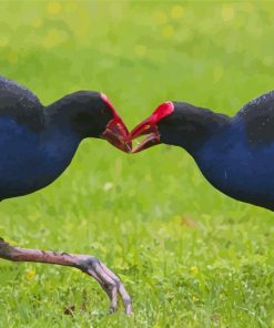 Australasian Swamphen Beauty Paint By Numbers