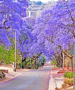 Purple Pretoria Scene Paint By Numbers