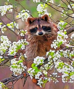 Raccoon and Blossoms Paint By Numbers