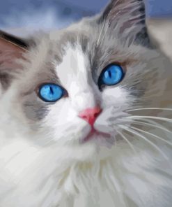 Ragdoll Cat Art Kit Paint By Numbers