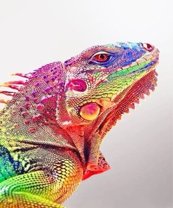 Colorful Rainbow Iguana Paint By Numbers