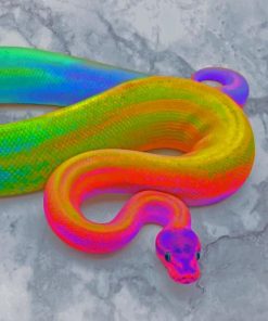 Rainbow Snake Colors Paint By Numbers