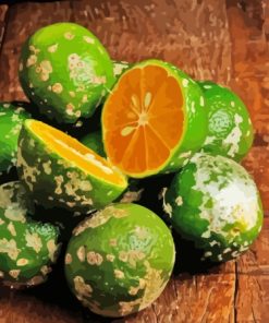 Rangpur Lime Citrus Fun Paint By Numbers