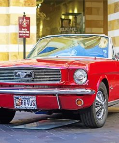 1966 Mustang Classic Car Paint By Numbers