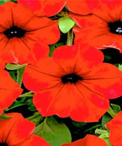 Red Petunia Flowers Paint By Numbers