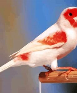 Red Canary Bird Paint By Numbers