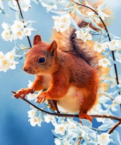 Red Squirrel Blossom Paint By Numbers