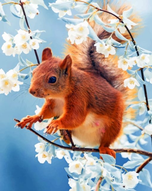 red-squirrel-with-flowers-paint-by-number