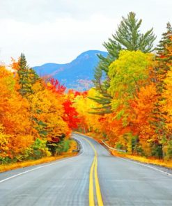 Autumn Road in Yellow Paint By Numbers