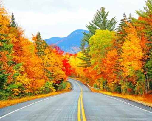 road-autumn-trees-paint-by-numbers