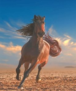 Arabian Stallion Running Paint By Numbers