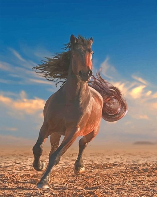 running-horse-adult-paint-by-numbers
