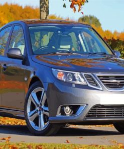 Saab Automobile Classic Paint By Numbers