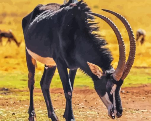 sable-antelope-paint-by-numbers
