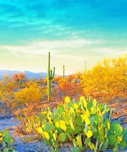 Saguaro National Park Arizona Paint By Numbers