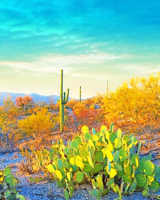 saguaro-national-park-adult-paint-by-numbers