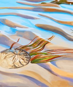 Sandollar Marine Life Paint By Numbers