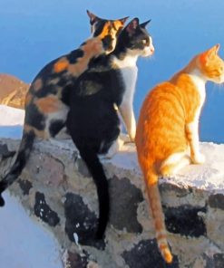 Sunset Kittens Santorini Paint By Numbers