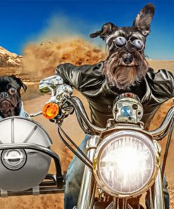 Charming Schnauzer Paint By Numbers