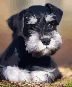Schnauzer Dog Lovers Paint By Numbers
