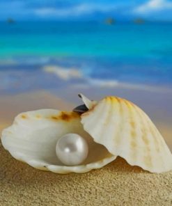 Sea Pearl Seascape Paint By Numbers