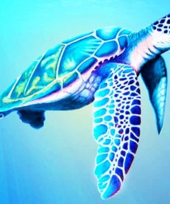 Marine Life Sea Turtle Paint By Numbers