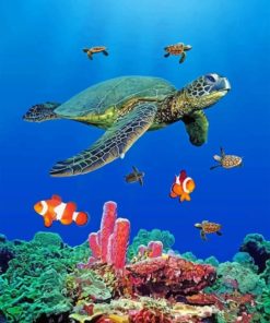 Sea Turtles Ocean Life Paint By Numbers