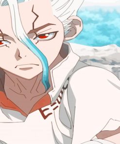 Senku Ishigami Seaside Paint By Numbers