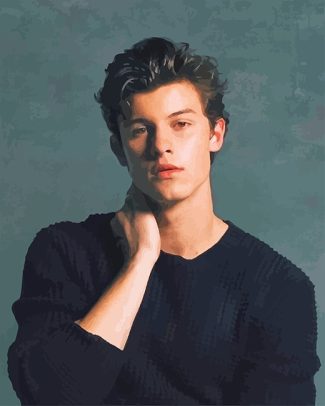 Shawn Mendes Famous Singer Paint By Numbers