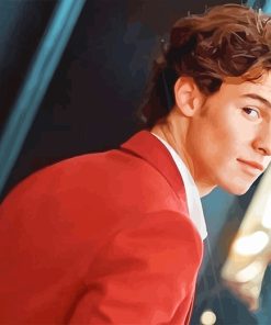 Shawn Mendes Handsome Paint By Numbers