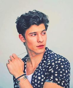 Shawn Mendes Iconic Singer Paint By Numbers