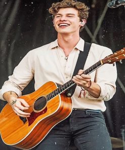 Shawn Mendes Guitar Melody Paint By Numbers