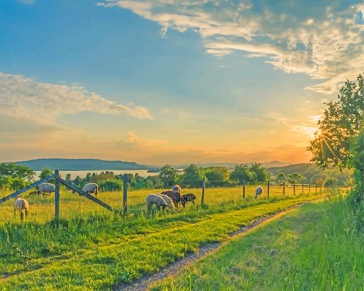 sheep-field-adult-paint-by-numbers