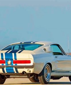 White Ford GT500 Car Paint By Numbers