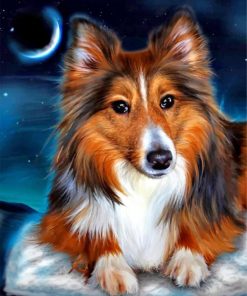 Sheltie Dog Painting Set Paint By Numbers