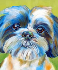 Shih Tzu Dog Paint By Numbers