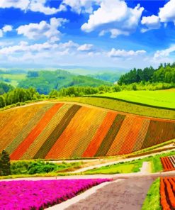 Hokkaido Scenic Fields Paint By Numbers